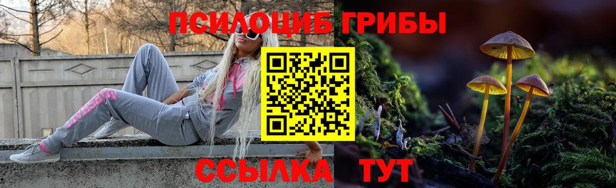 Галлюциногенные грибы GOLDEN TEACHER  купить наркоту  Озёры  Вход с VPN  Галлюциногенные грибы ЛСД 